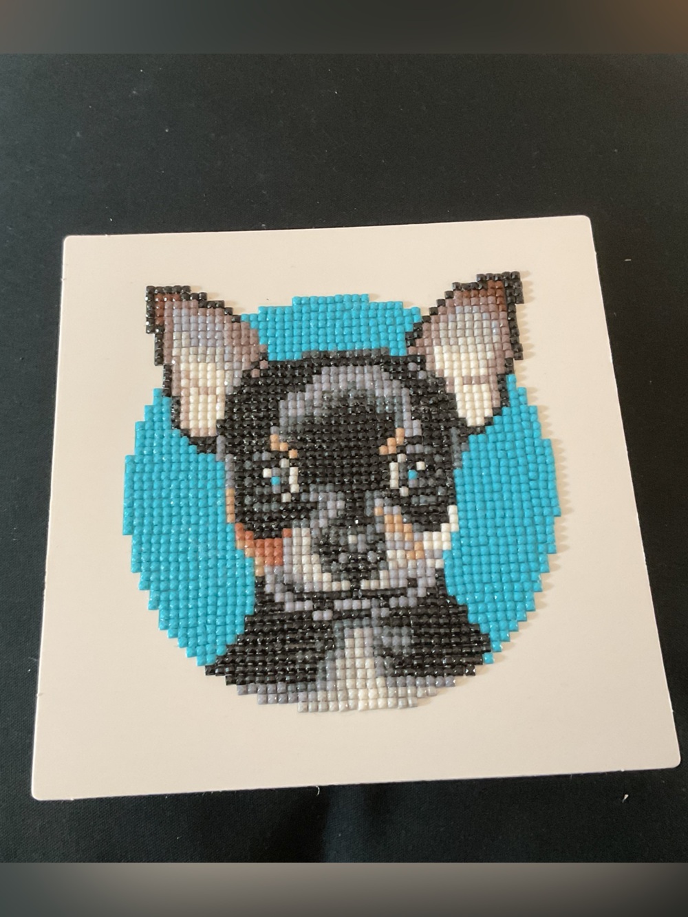 Small Dog Diamond Painting | Adorable Black & White Pup | Home Decor.
